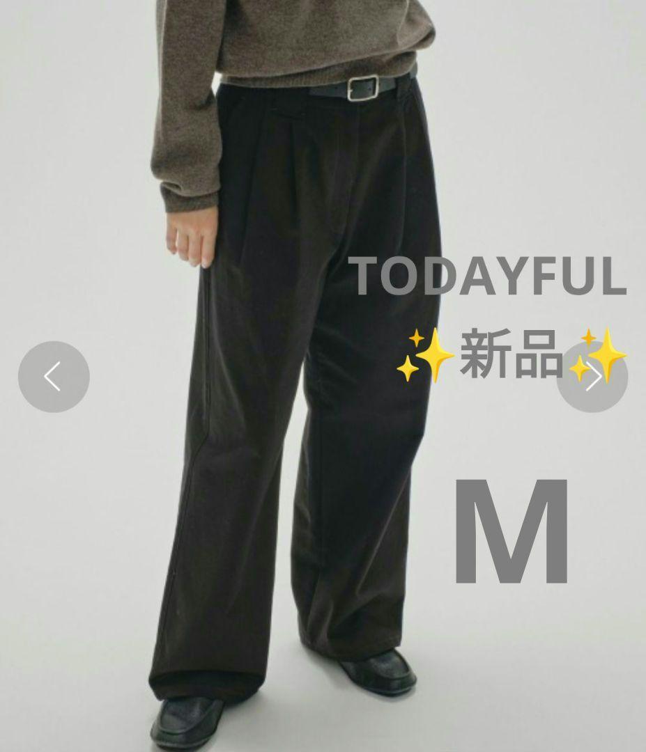 【✨新品✨】TODAYFUL◎Doubletuck Chino Pants