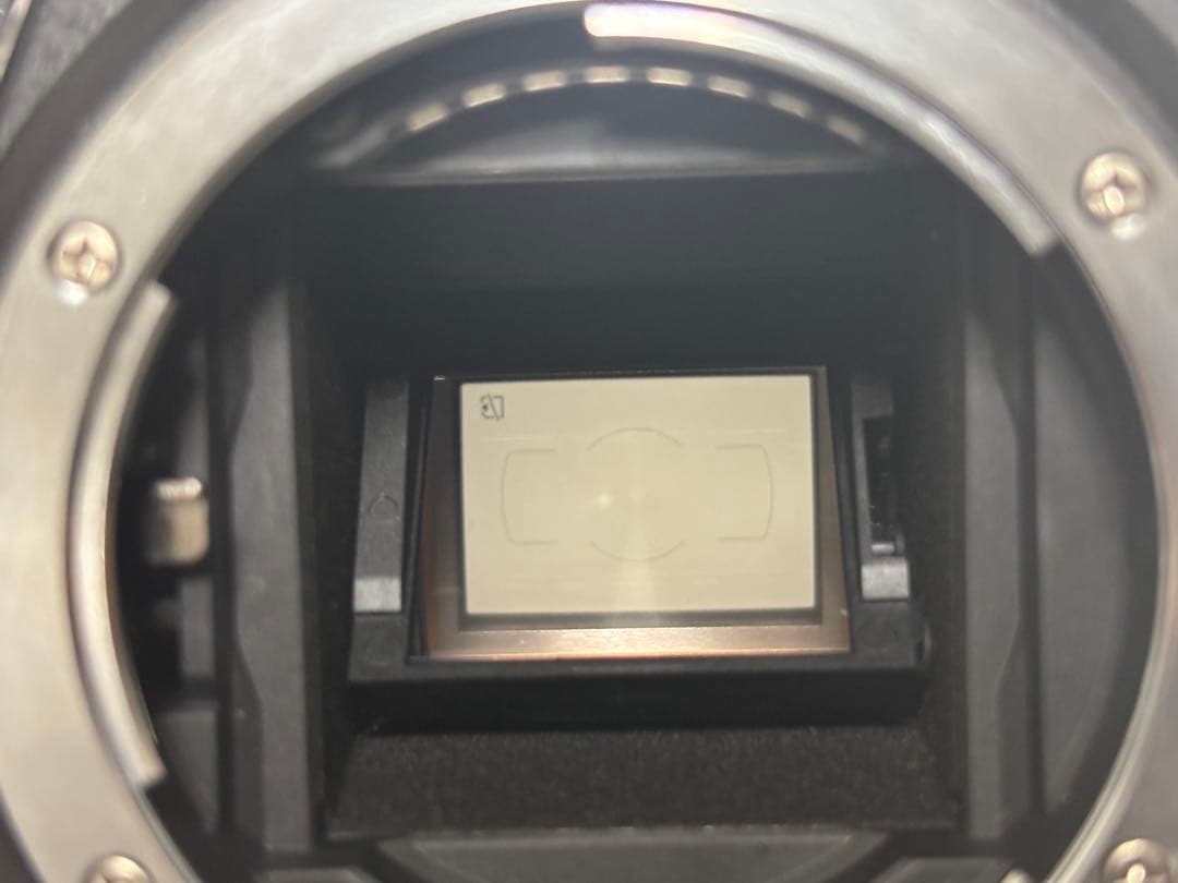 【美品】Nikon ニコン D5500 ボディ