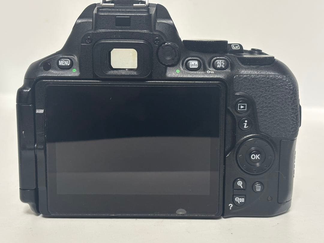 【美品】Nikon ニコン D5500 ボディ