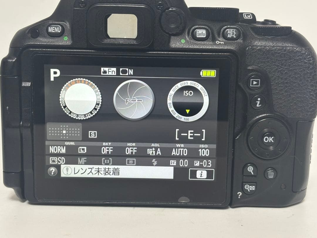 【美品】Nikon ニコン D5500 ボディ