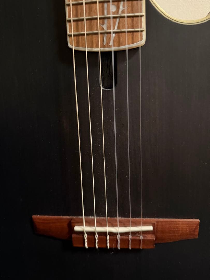 Ibanez TOD10N-TKF Tim Hensonモデル ナイロン弦ギター