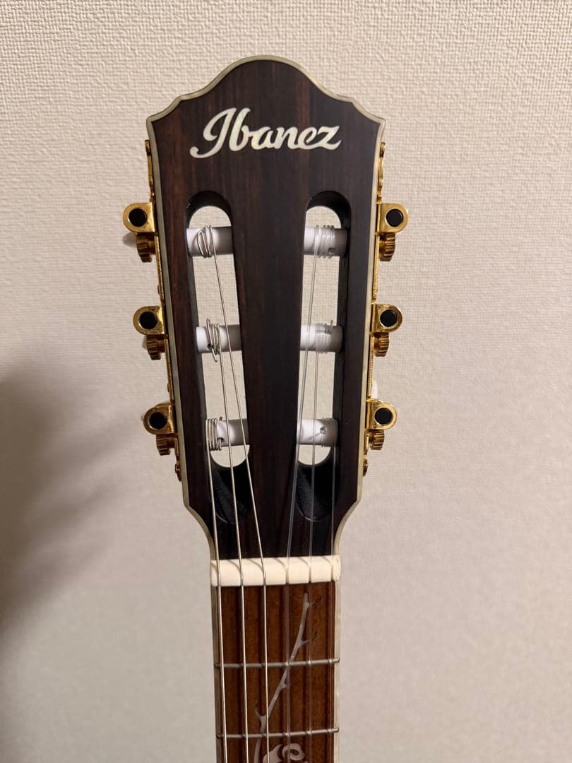Ibanez TOD10N-TKF Tim Hensonモデル ナイロン弦ギター