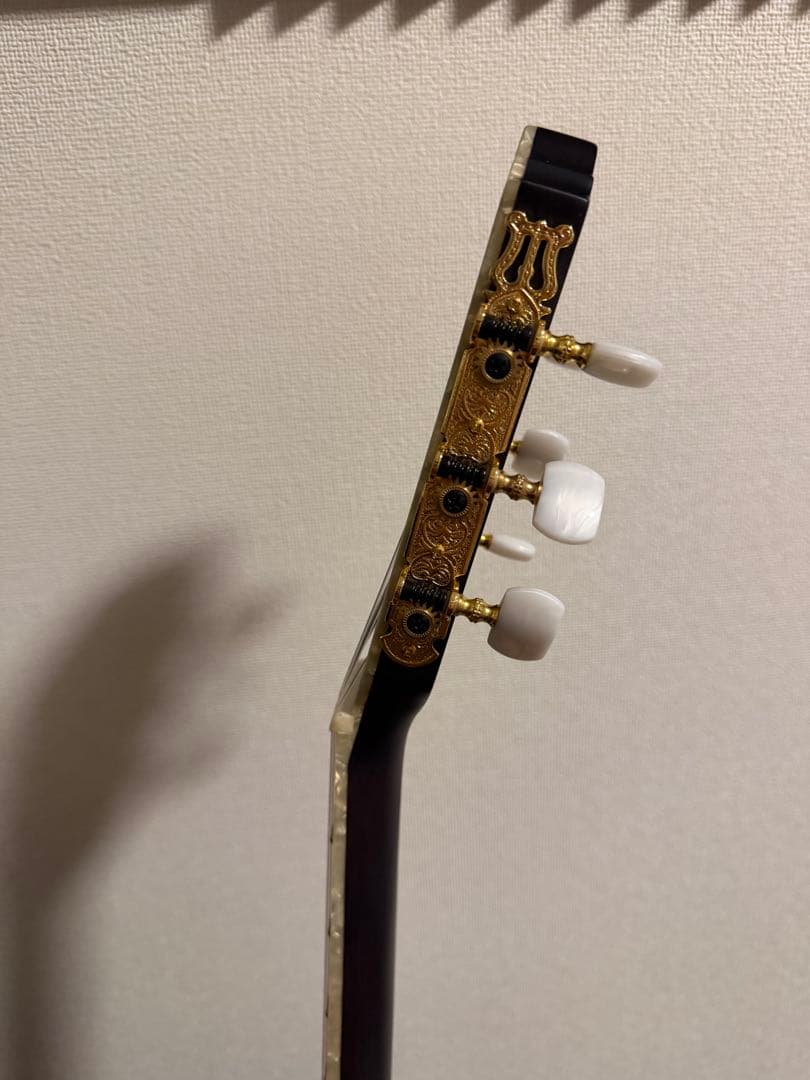 Ibanez TOD10N-TKF Tim Hensonモデル ナイロン弦ギター