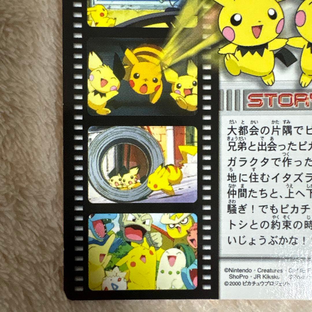 か*ぃ様 ポケモンずかんカード　ピチューとピカチュウ