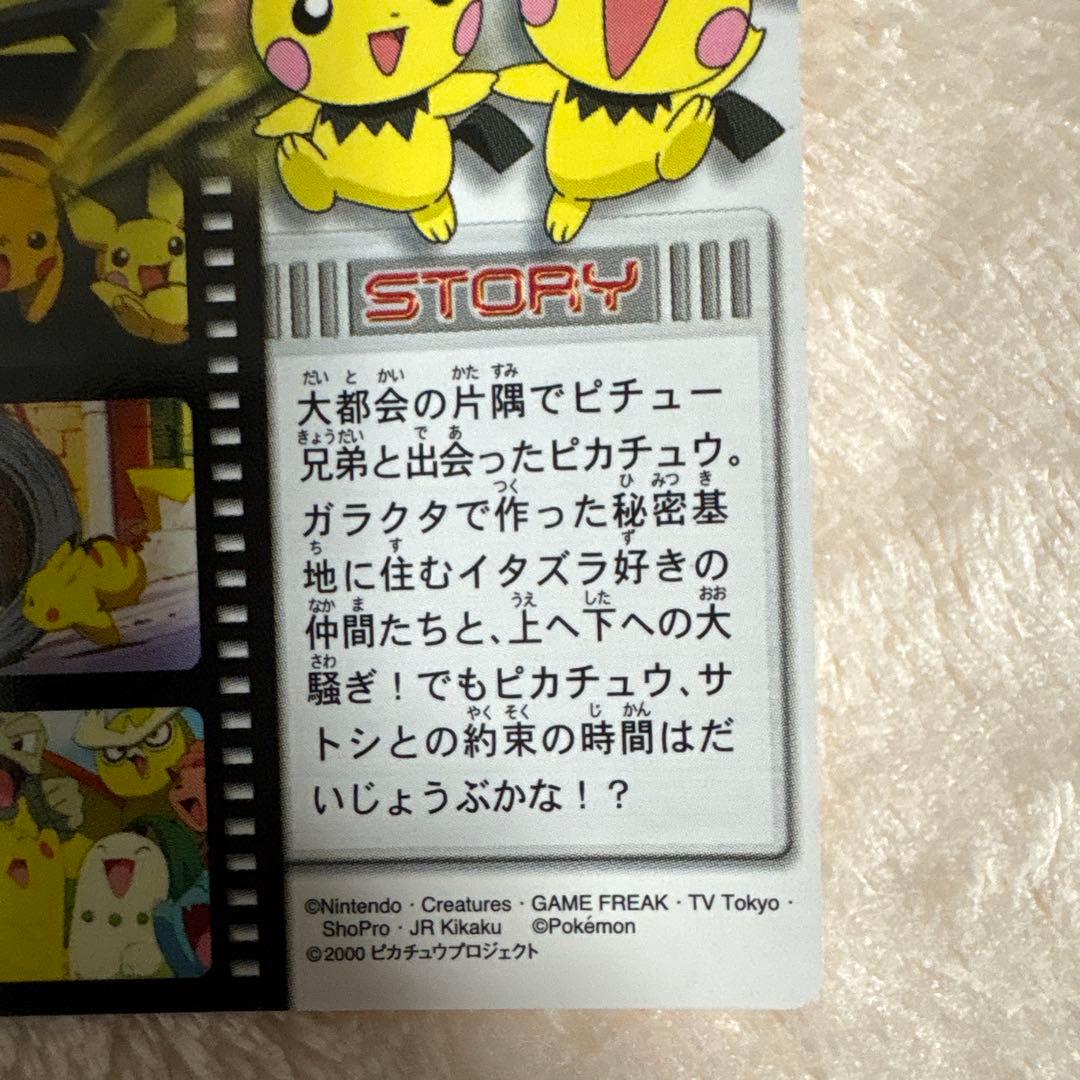 か*ぃ様 ポケモンずかんカード　ピチューとピカチュウ