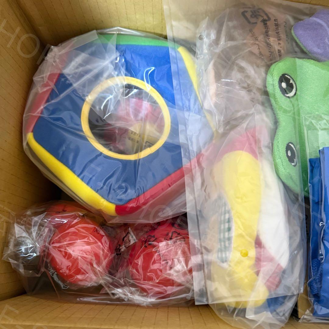 【新品】2024年最新版　プレイアロング・フルセット　DWE ディズニー英語