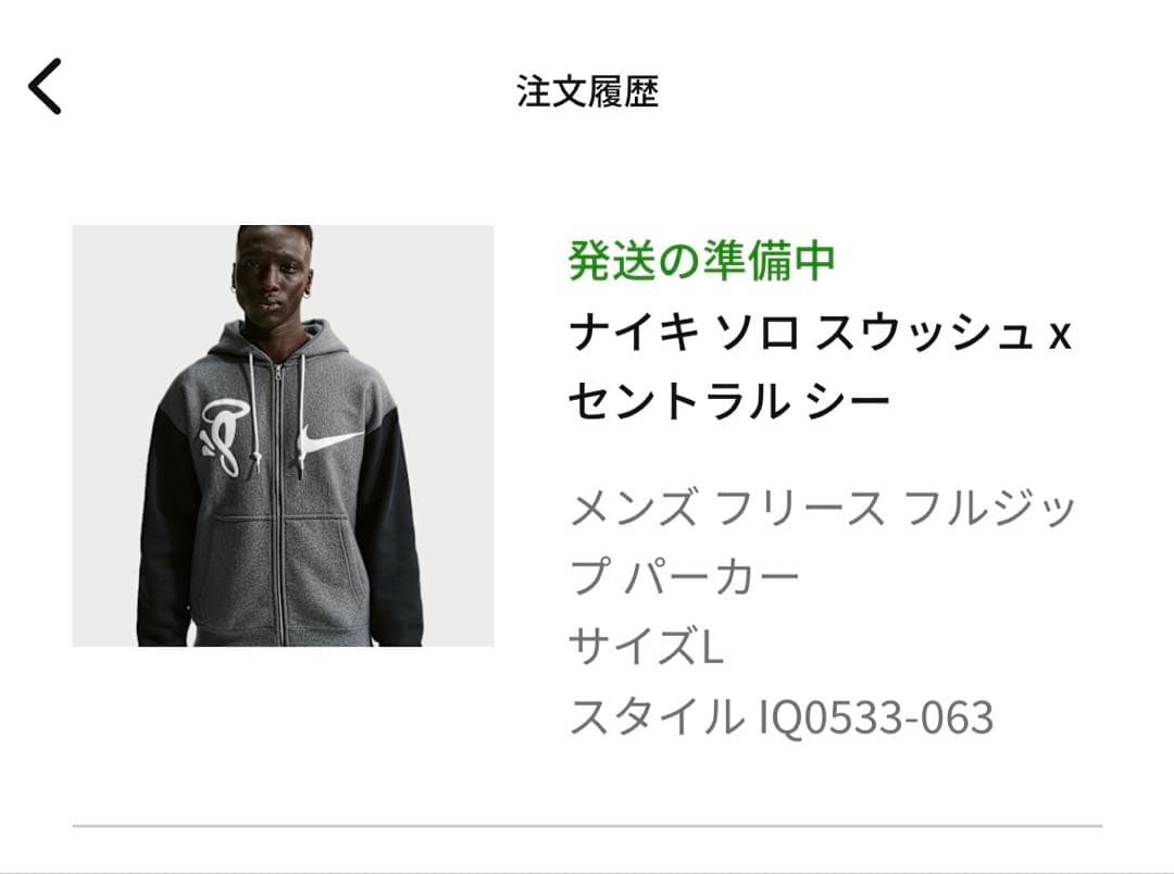 【新品/完売】ナイキ ソロ スウッシュ x セントラル シー パーカー L