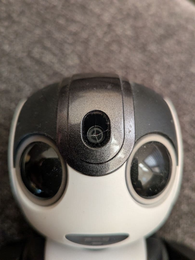 SHARP RoBoHoN SR-03M-T 本体