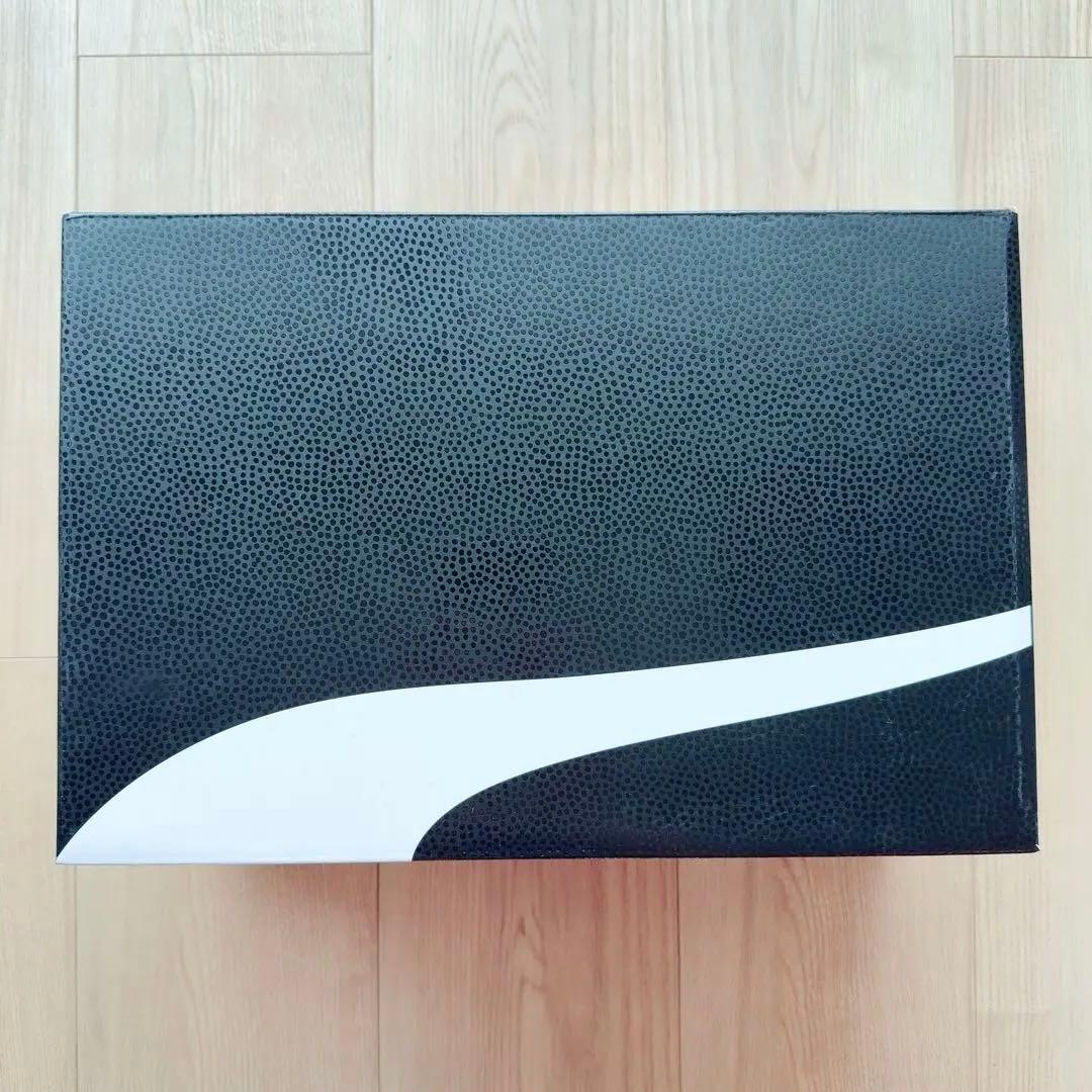 All-Pro Nitro Dylan Exhibit【29cm】メンズバッシュ