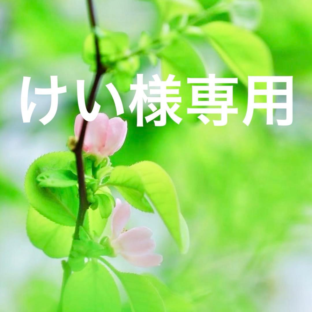 けいページです。