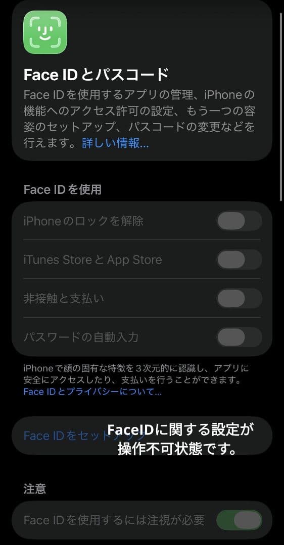 iPhone12 Pro 128GB ジャンク品 ※最終値下げ
