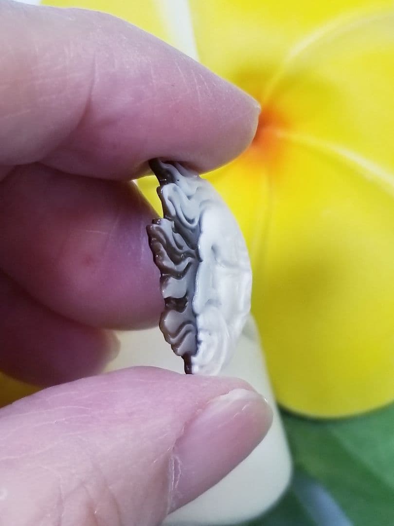 KS-137 【ジェンナロ・ガロファロ】作　天然シェルカメオルース