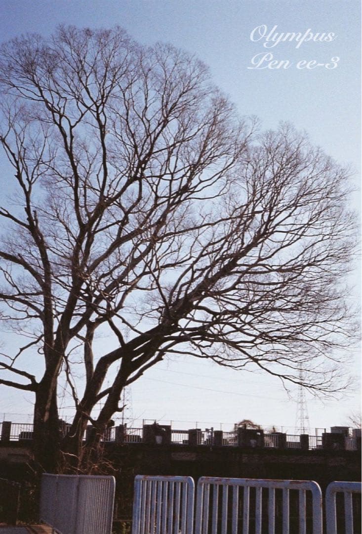 完動品＊美品＊初期保証★OLYMPUS Pen EE-3★フィルム入門に！