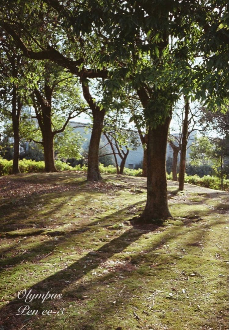 完動品＊美品＊初期保証★OLYMPUS Pen EE-3★フィルム入門に！