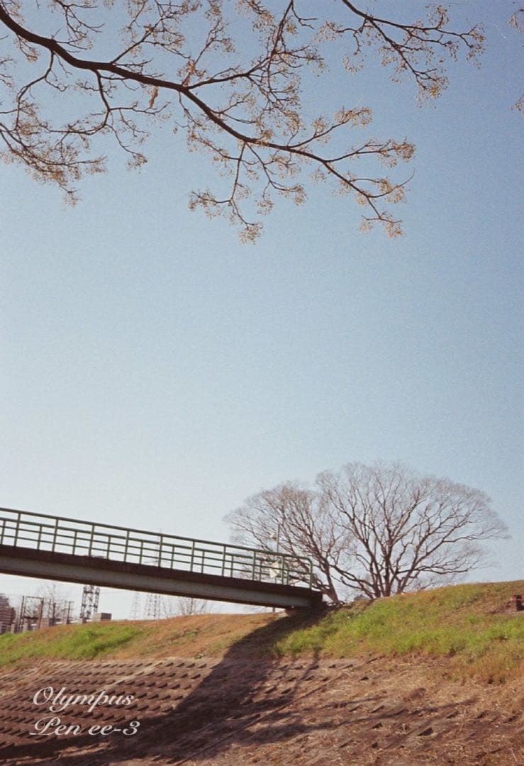 完動品＊美品＊初期保証★OLYMPUS Pen EE-3★フィルム入門に！