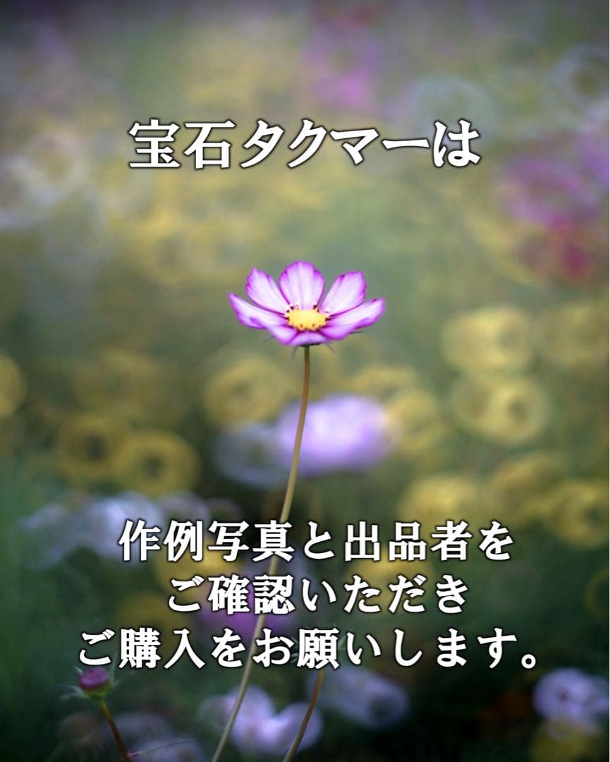 宝石レンズ Super Takumar 後期型　55mm f1.8 m