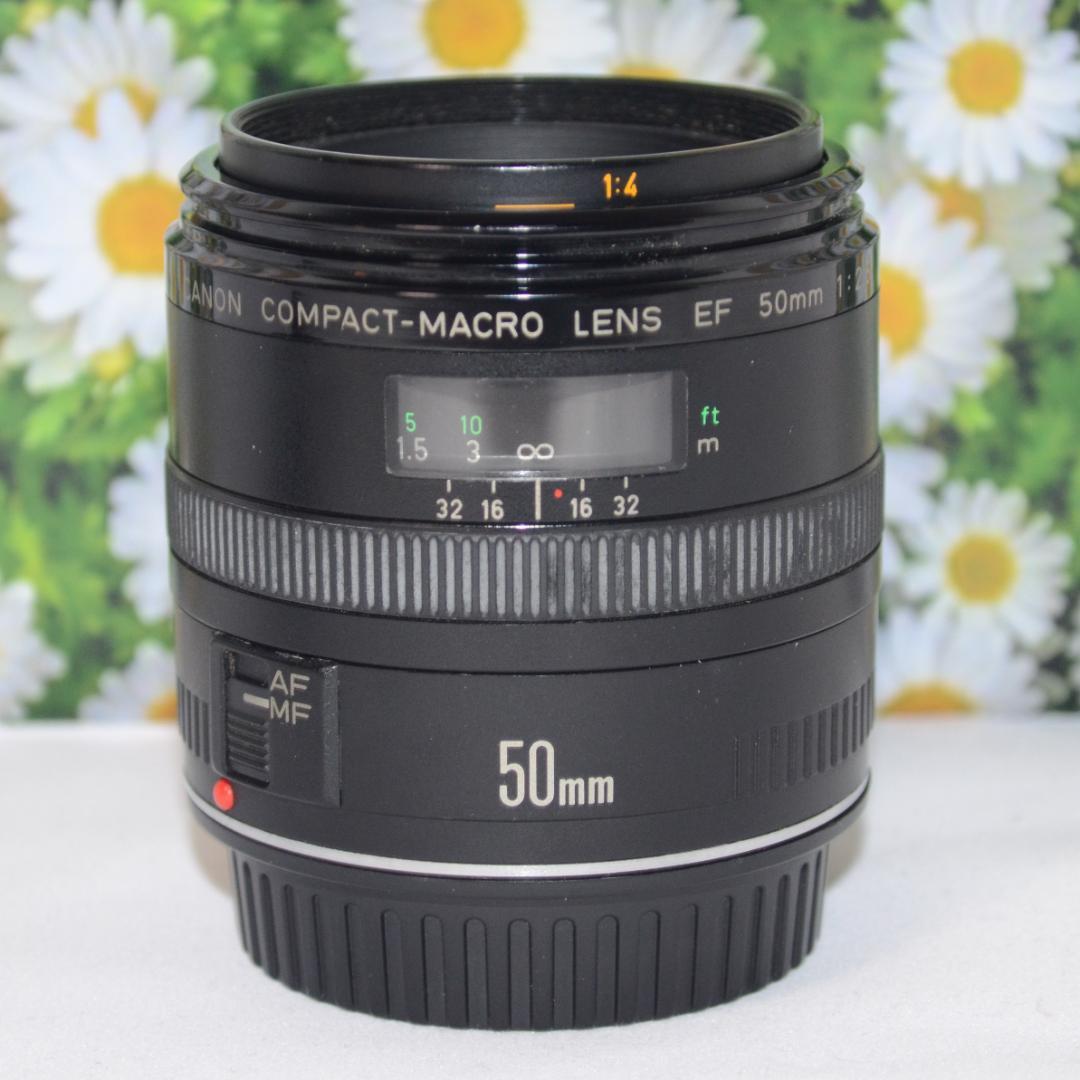 キャノン❤Canon EF 50mm F2.5❤撮影の幅が広がる単焦点レンズ❤