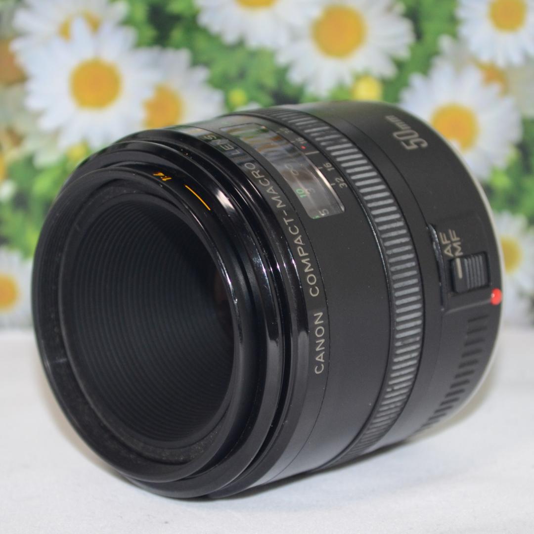 キャノン❤Canon EF 50mm F2.5❤撮影の幅が広がる単焦点レンズ❤