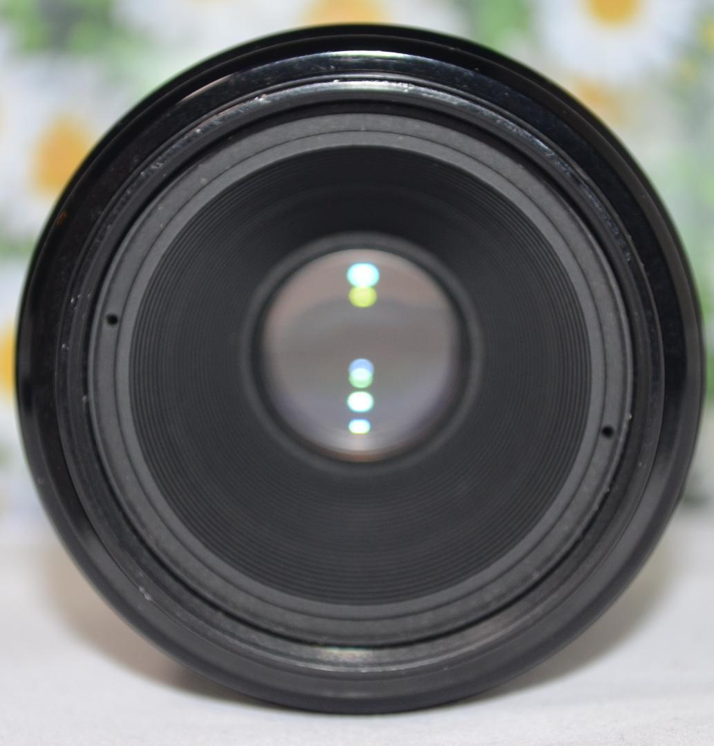 キャノン❤Canon EF 50mm F2.5❤撮影の幅が広がる単焦点レンズ❤