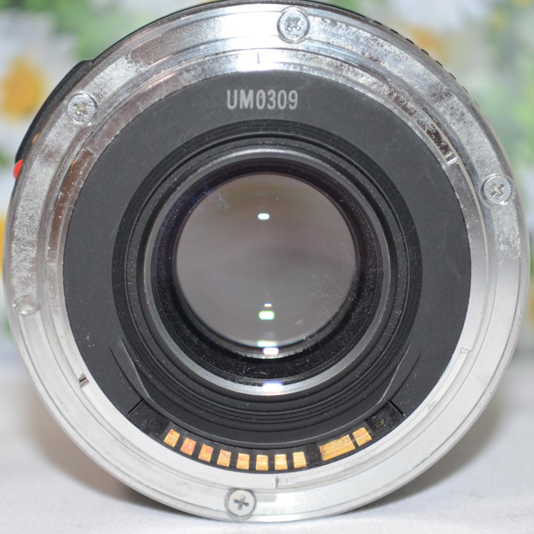 キャノン❤Canon EF 50mm F2.5❤撮影の幅が広がる単焦点レンズ❤