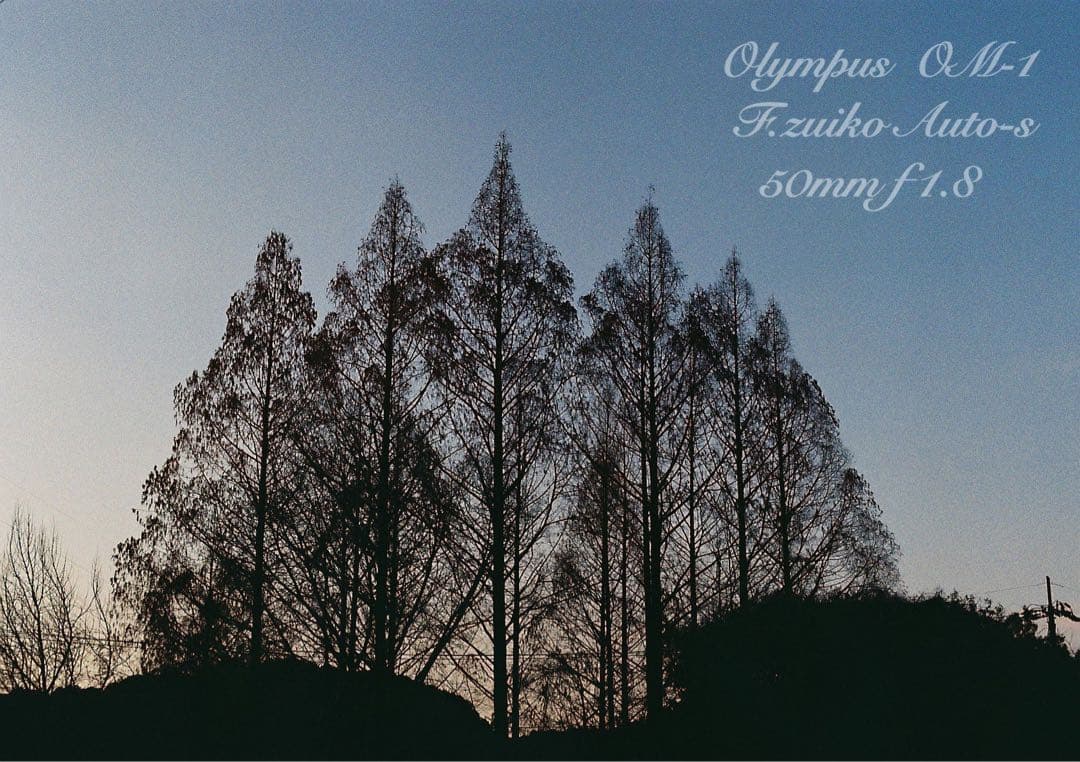 完動品＊美品＊初期保証★OLYMPUS OM-1★リザード本革外装★作例多数！