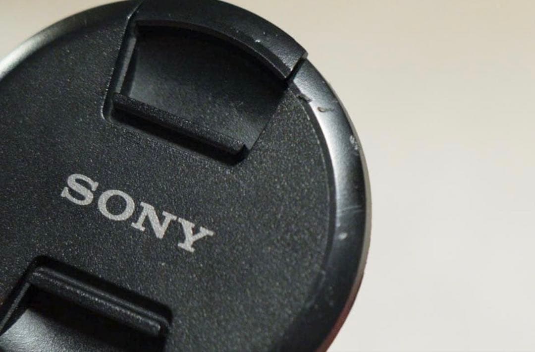 Sony FE 24-105mm F4 G OSS（SEL55F18Z）