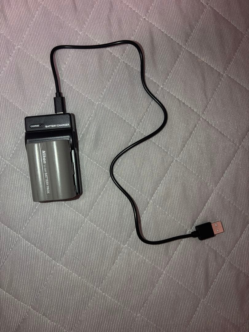 Nikon D80 デジタル一眼レフカメラ (動作確認済み)バッテリー、充電器付