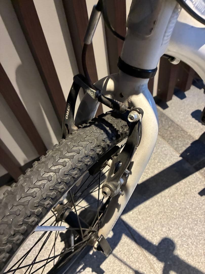 もんちゃん様【大阪発】ルイガノ LGS-J20 20インチ シマノ6速