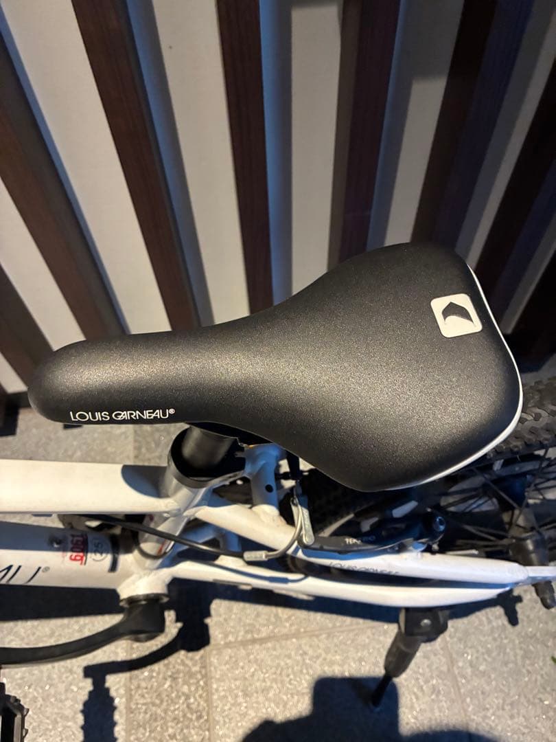 もんちゃん様【大阪発】ルイガノ LGS-J20 20インチ シマノ6速