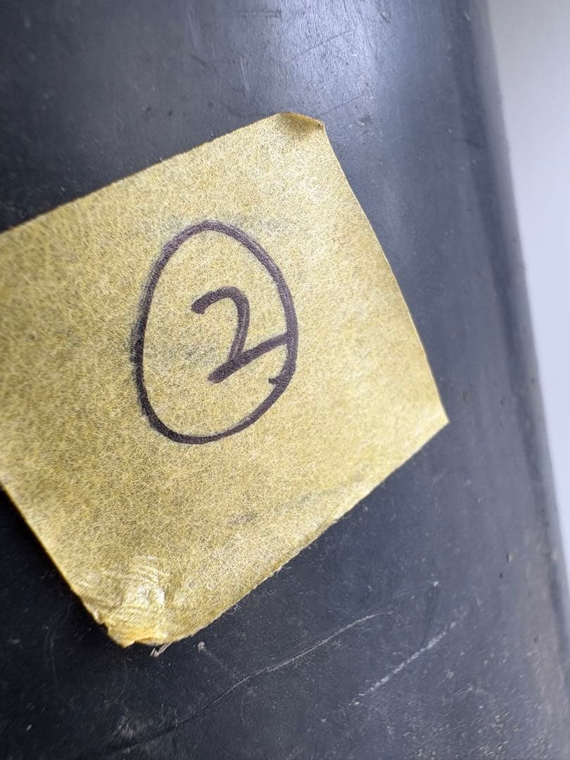 フィカス　クリシュナ　5号　②