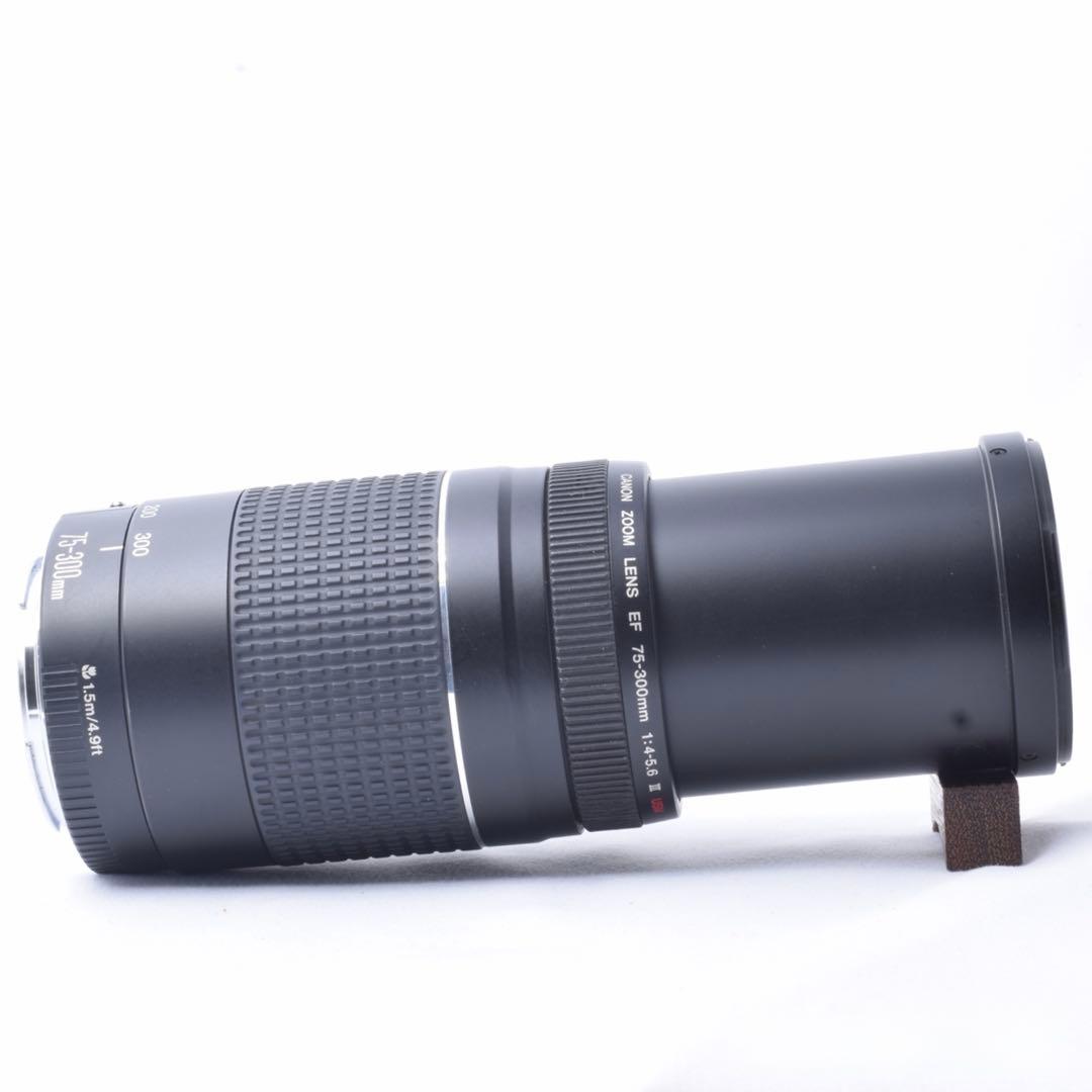 ☘️近〜遠距離対応☘️Canon Kiss X7i Wレンズセット✨