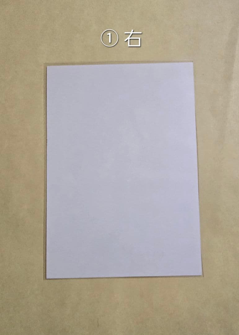 水瀬いのり 実は私は 通販限定 ブロマイド 8枚セット 生写真