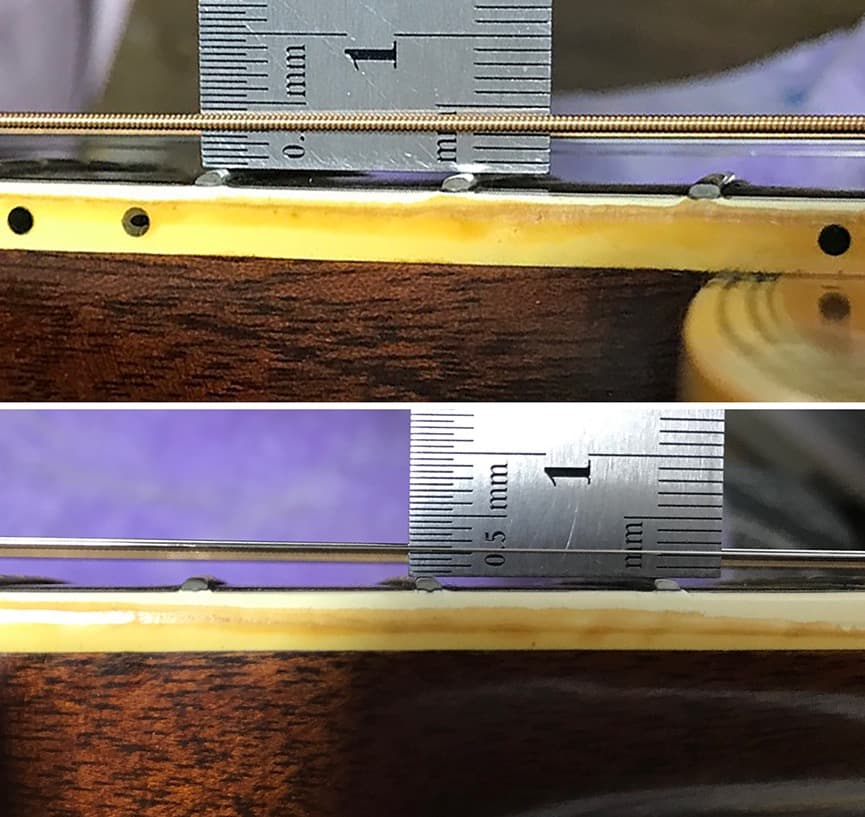 Morales LYRE BIRD M-50 セミハードケース付き