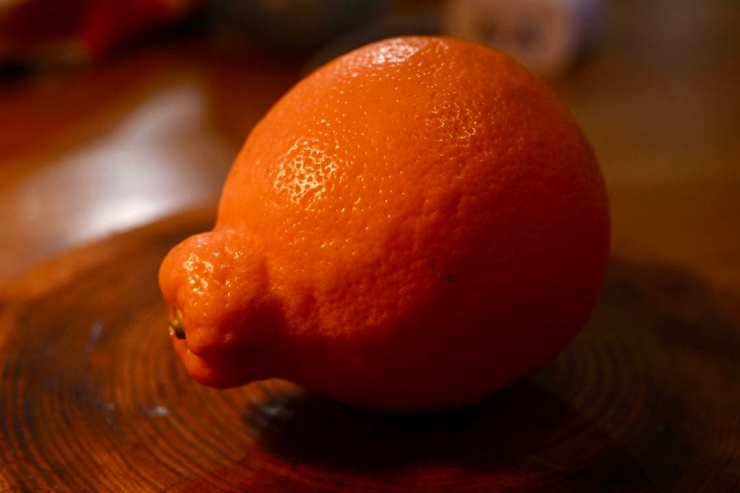 ニコン Nikon Ai Micro Nikkor 55mm F3.5 極美品