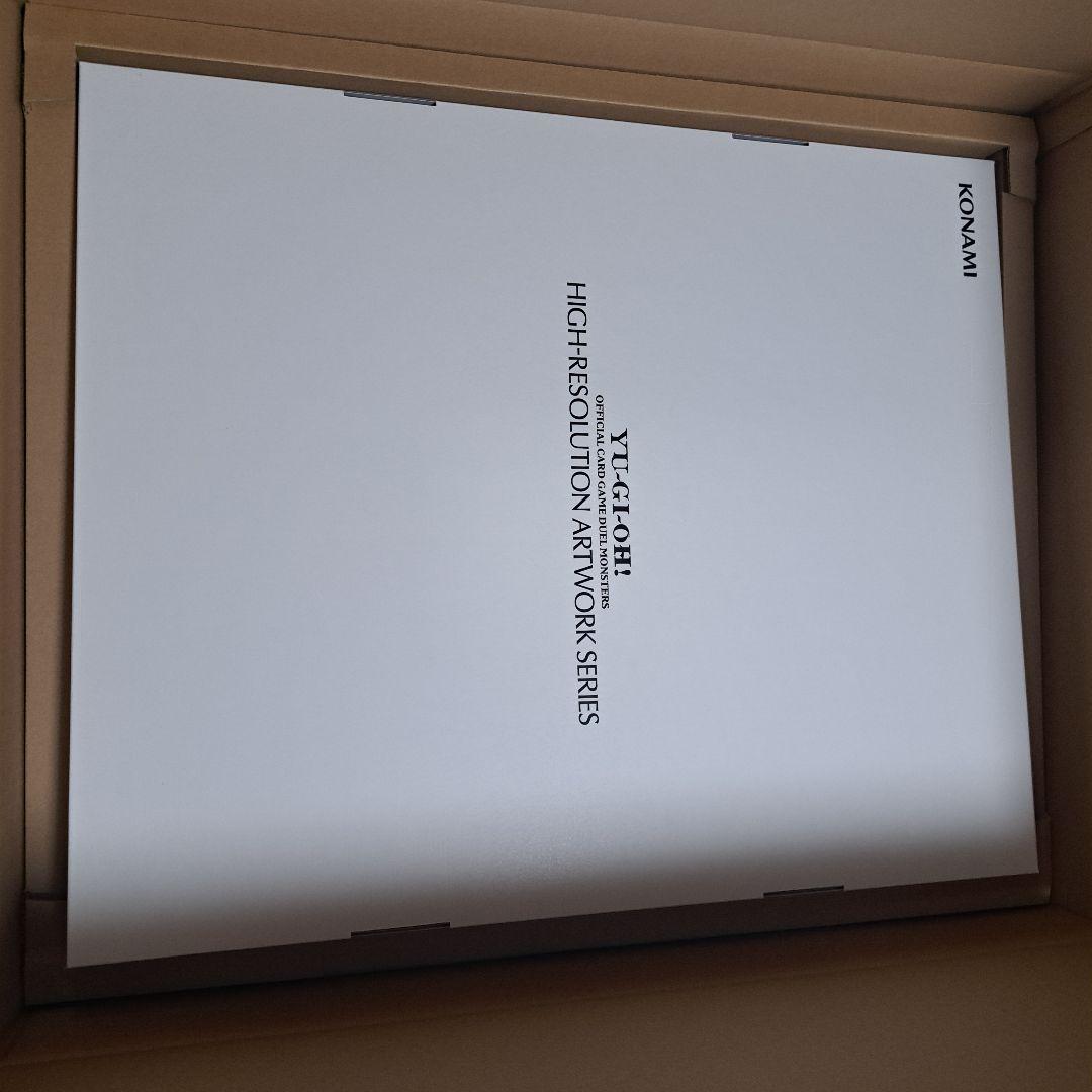 HIGH-RESOLUTION ARTWORK Sデストロイフェニックスガイ