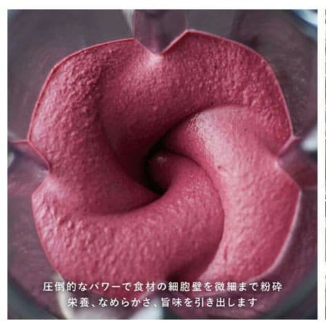 新品未使用【保証書・オリジナル箱あり】Vitamix E310