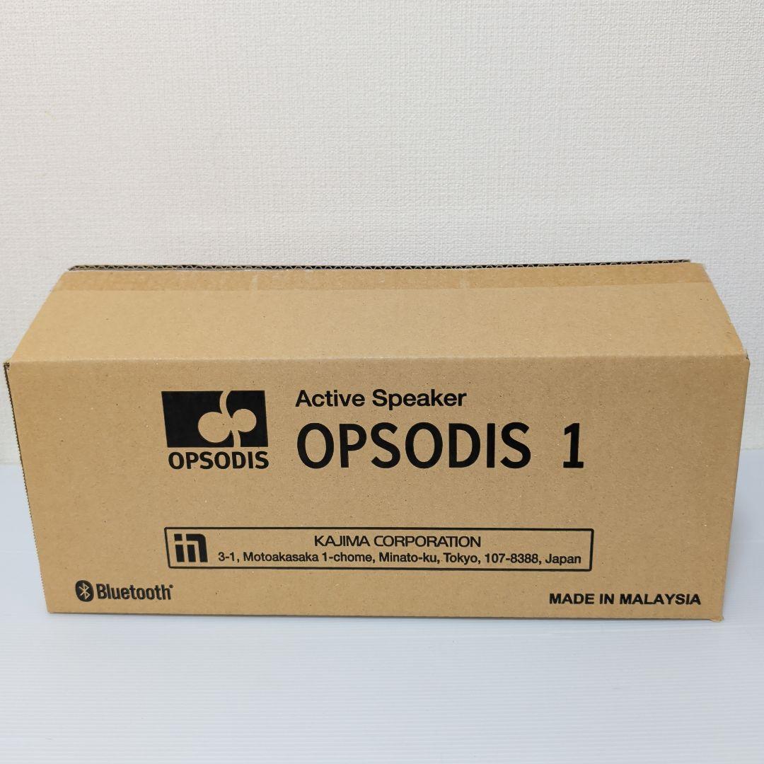 鹿島建設　OPSODIS1
