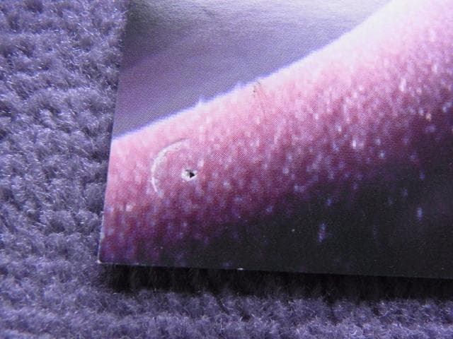 非売品　ポスター　マジック・ザ・ギャザリング　第6版クラシック　ポータル三国志