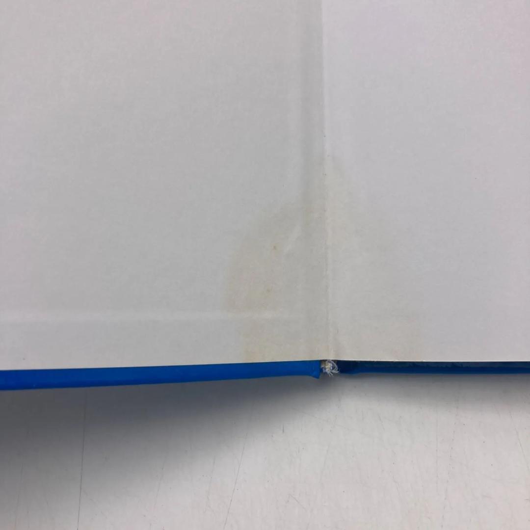 メインプログラムとミッキーメイト　ディズニー英語システム　DWE　201421