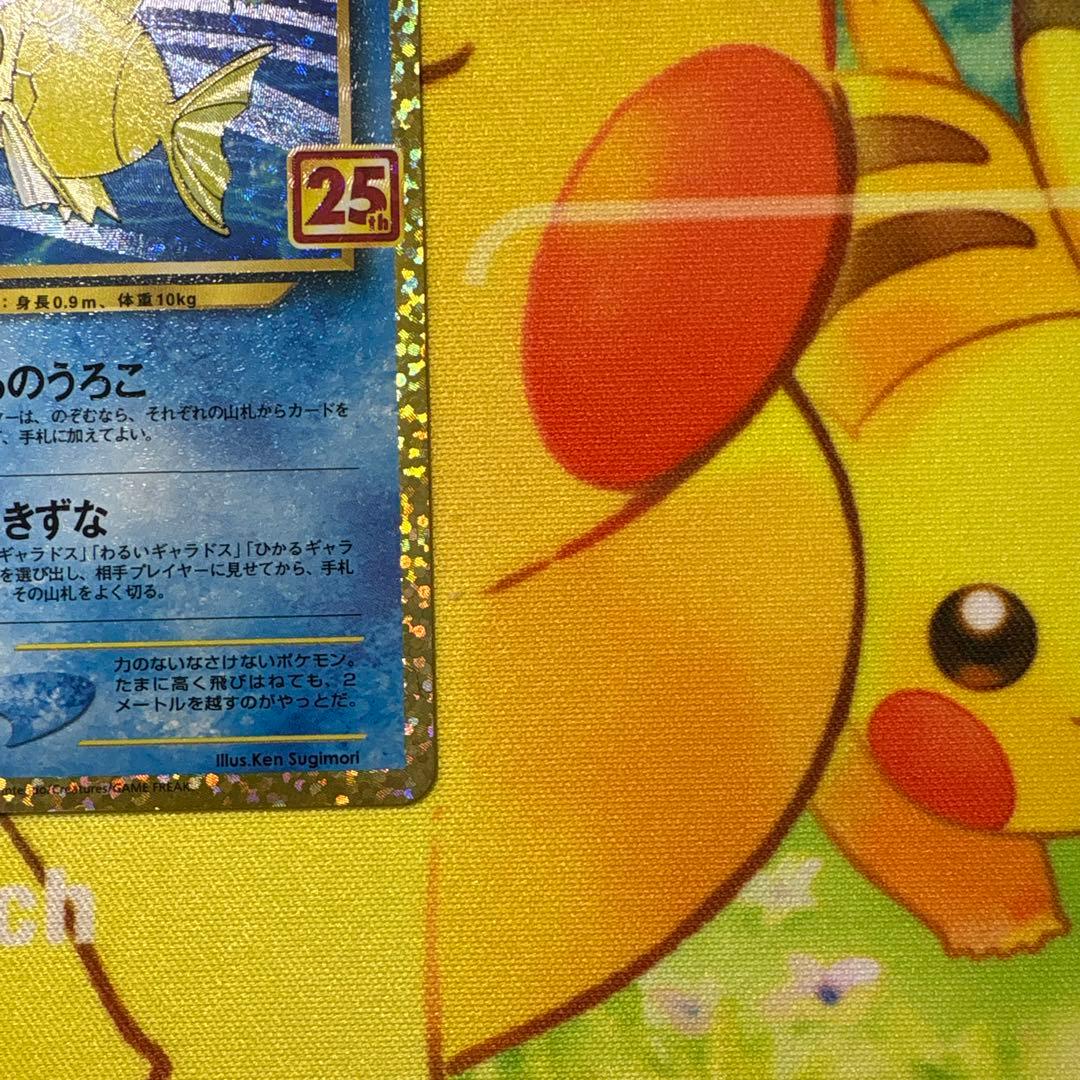 【美品】ひかるコイキング 25周年記念　25th