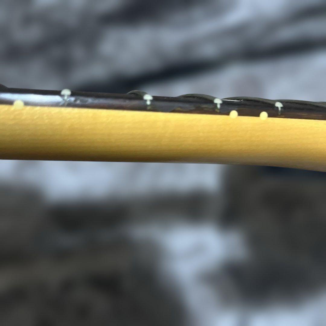 ギター FENDER American Professional II