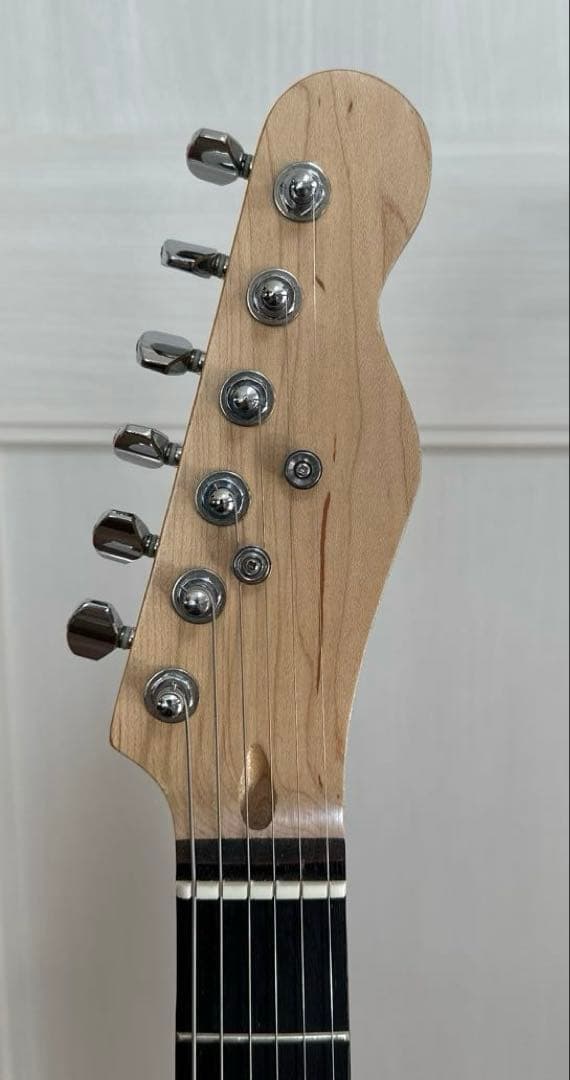 エレキギター (テレキャスタータイプ) 5way切替&2.5Kg &ソフトケース