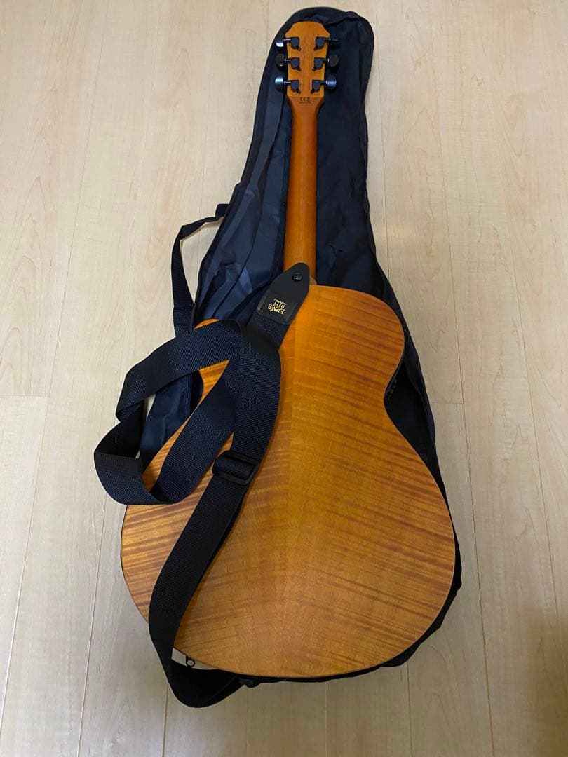 ARIA アリア FET-F2 STBR エレアコ