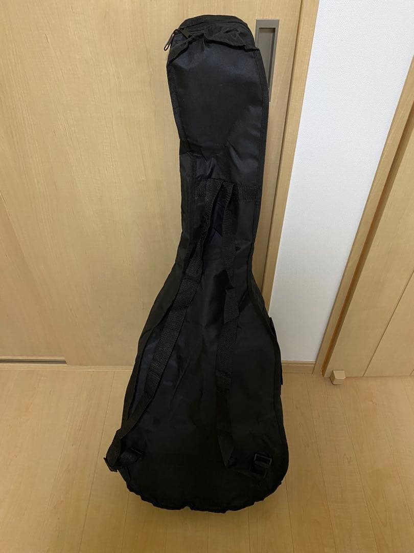 ARIA アリア FET-F2 STBR エレアコ