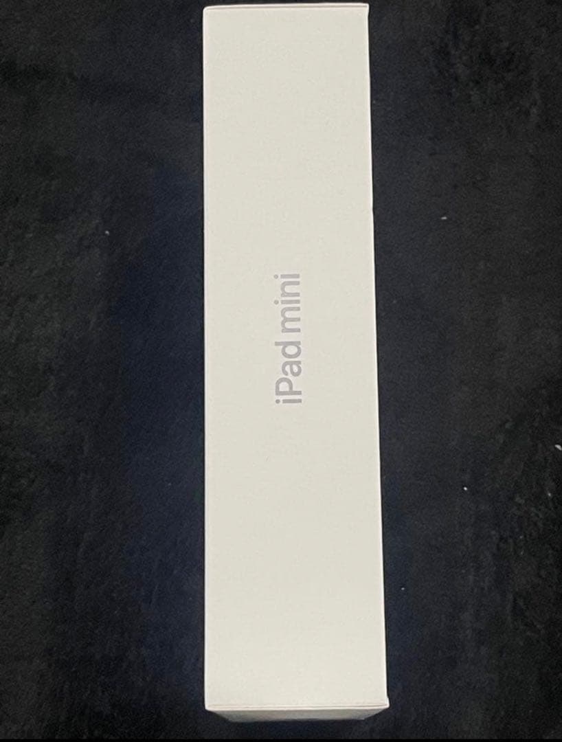 Apple iPad mini スペースグレイ　128GB