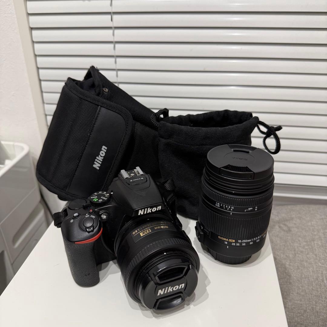 【ストラップ&レンズ&ケース付き】Nikon D5500 デジタル一眼レフカメラ