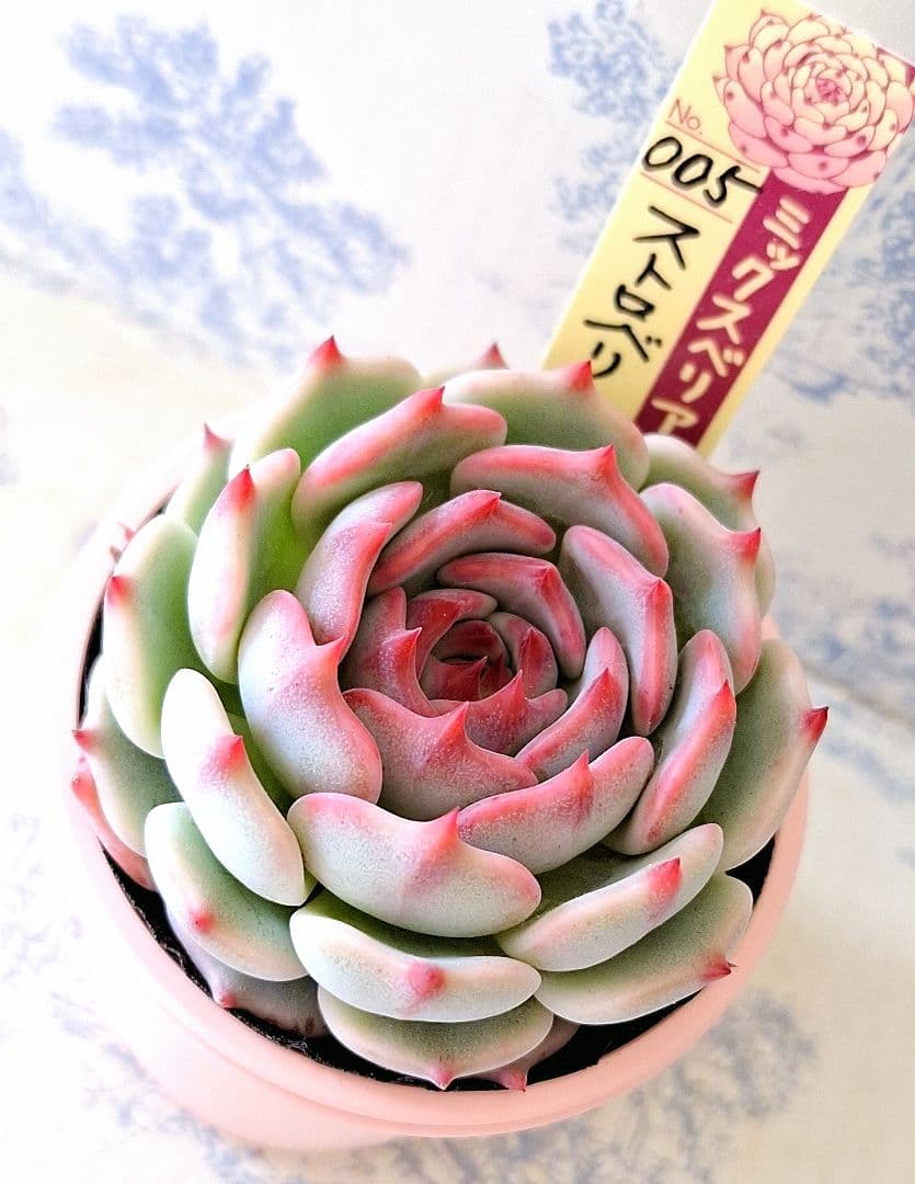 のん様 リクエスト 2点 まとめ商品