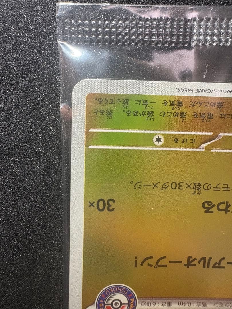 トウホクのピカチュウ プロモ