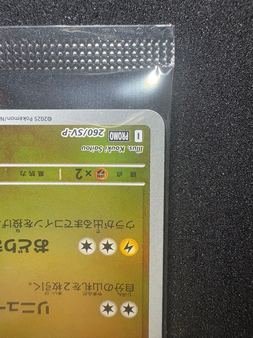 トウホクのピカチュウ プロモ