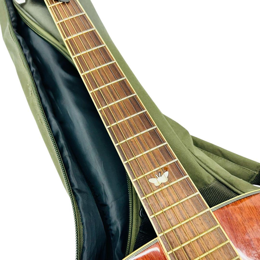 DAISY ROCK エレアコ　6280